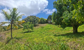 Terrain  566 m² à vendre à Sainte-Luce (97228)
