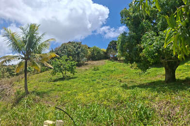Terrain  100000 €