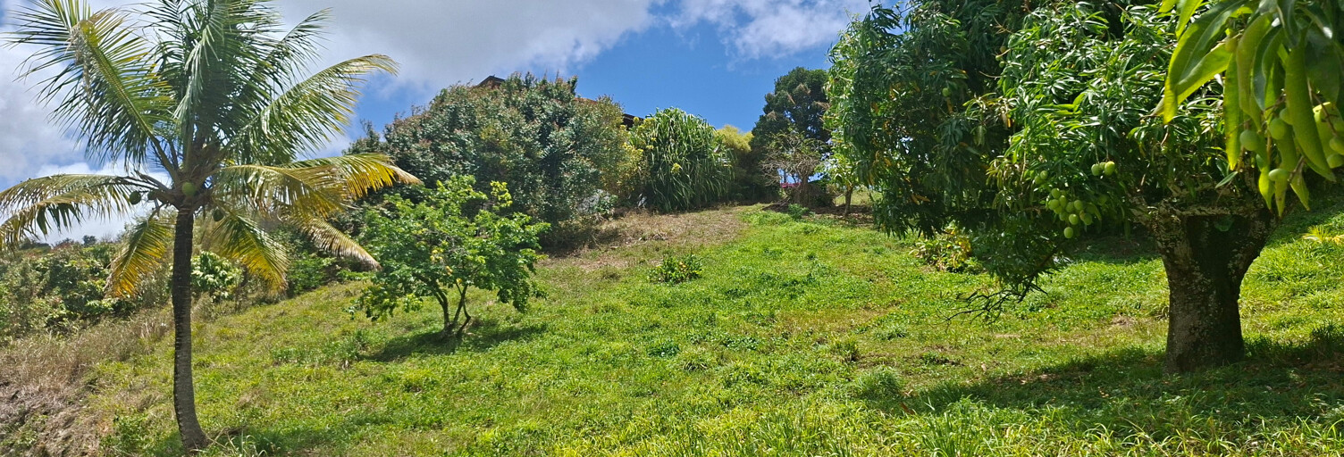 Terrain  566 m² à vendre à Sainte-Luce (97228)