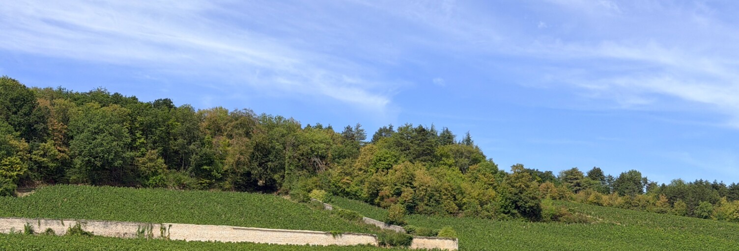 Photo N° 2