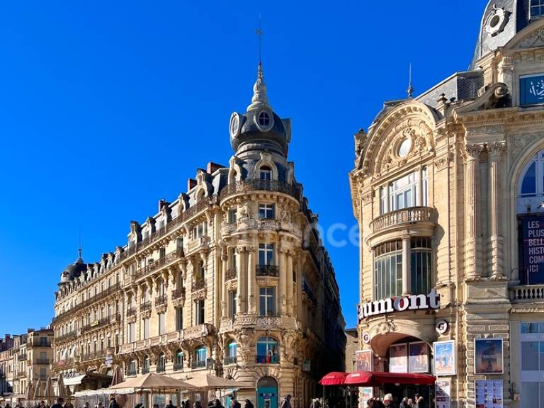 Murs commerciaux occupés - MONTPELLIER CENTRE — photo 1