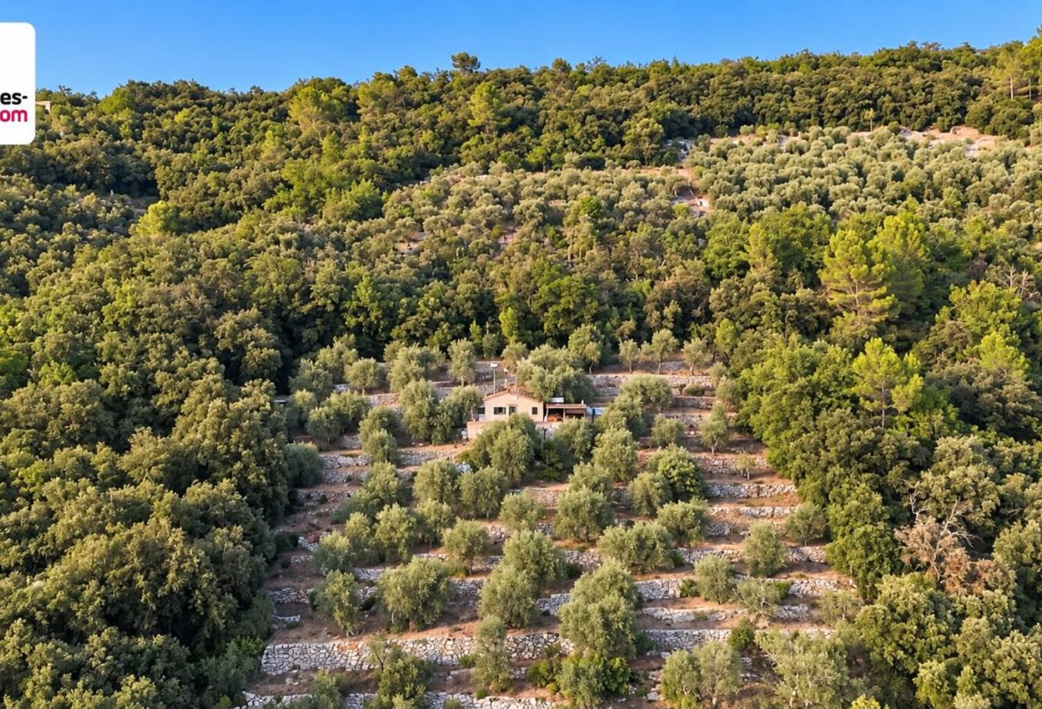 Magnifique Oliveraie et forêt avec Cabanon en vallée de la Siagne 16190 m2 — photo 1