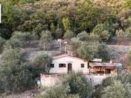 Magnifique Oliveraie et forêt avec Cabanon en vallée de la Siagne 16190 m2 — photo 4