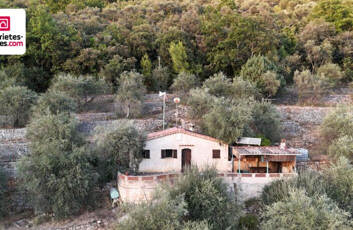 Magnifique Oliveraie et forêt avec Cabanon en vallée de la Siagne 16190 m2 — photo 4