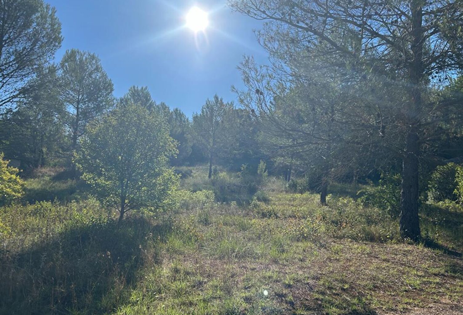Terrain  1250 m2 — photo 1