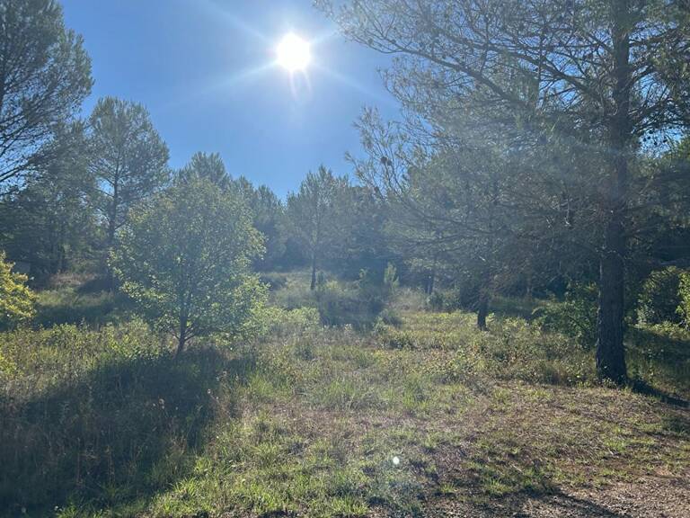 Terrain  1250 m2 — photo 1