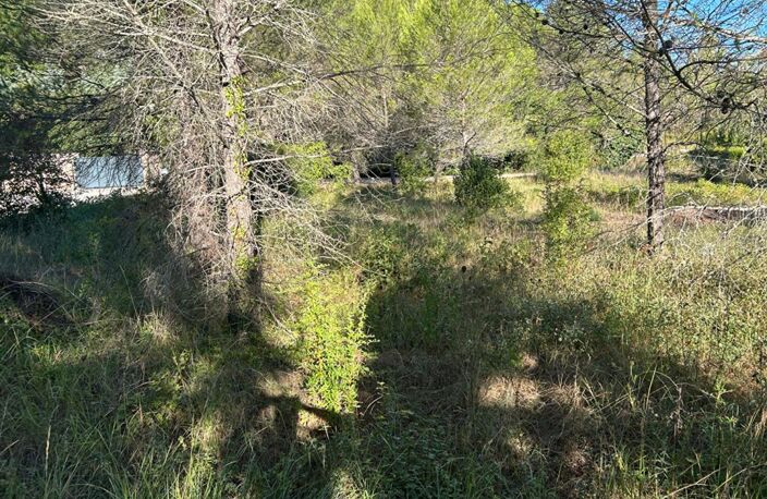 Terrain  1250 m2 — photo 2
