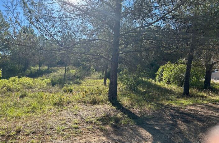 Terrain  1250 m2 — photo 4