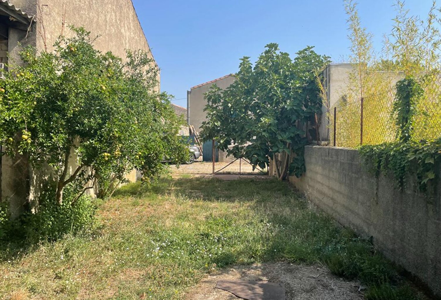 Ancienne cave à vin avec fort potentiel — photo 1