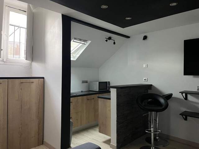 Appartement Nantes 1 pièce(s) 24 m2 — photo du bien