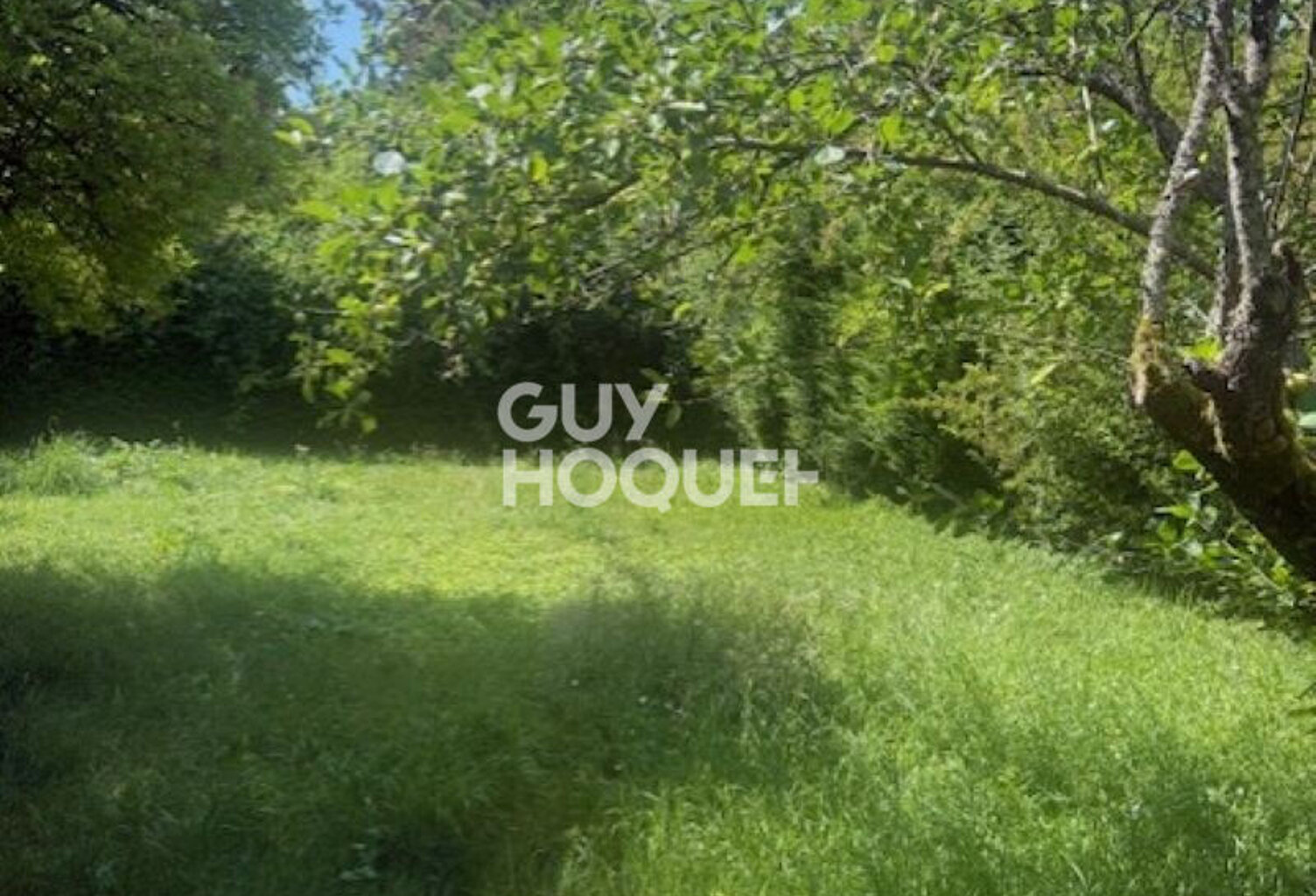terrain — photo 1