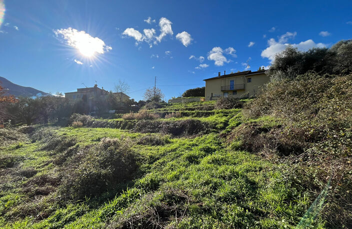 CARROS LES PLANS - TERRAIN CONSTRUCTIBLE DE 5 737 M² — photo 3