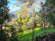 Terrain Saint Paul De Vence 970 m² constructible 240 m² — photo 2