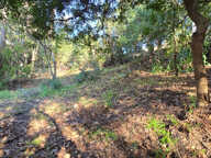Terrain Saint Paul De Vence 970 m² constructible 240 m² — photo 3