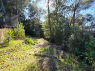 Terrain Saint Paul De Vence 970 m² constructible 240 m² — photo 4