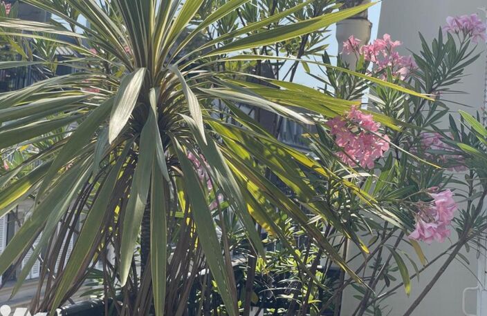 Vente appartement 3 pièces 66 m² Paris 9 (75009) — photo 2