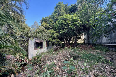 Terrain  223000 €