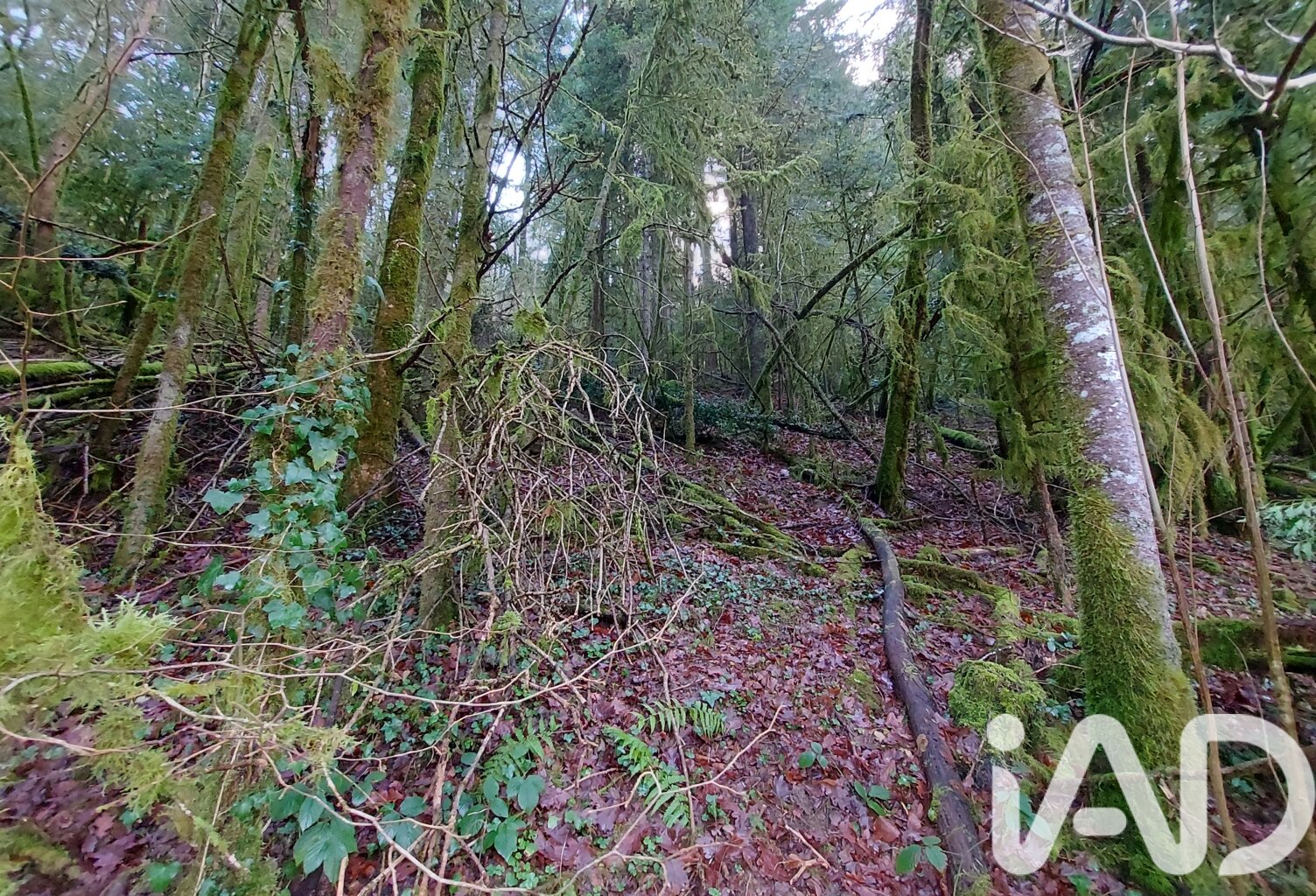 Vente Terrain 6 262 m&sup2; — photo 1