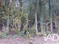 Vente Terrain 6 262 m&sup2; — photo 3