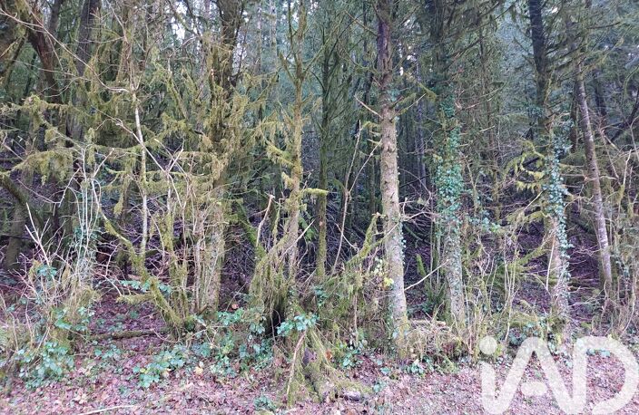 Vente Terrain 6 262 m&sup2; — photo 3