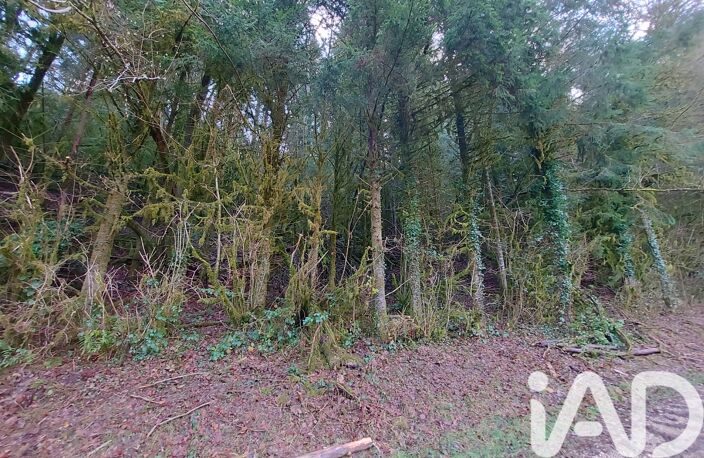 Vente Terrain 6 262 m&sup2; — photo 4