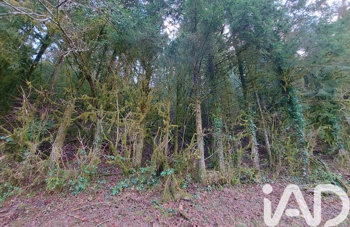 Vente Terrain 6 262 m&sup2; — photo 5