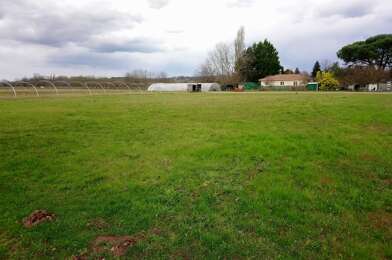 Terrain  40000 €