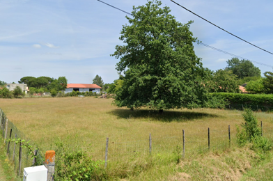 Terrain  55000 €