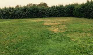 Terrain  650 m² à vendre à Tauriac (33710)