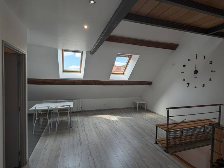 Dijon Place Wilson T3 en duplex — photo 1