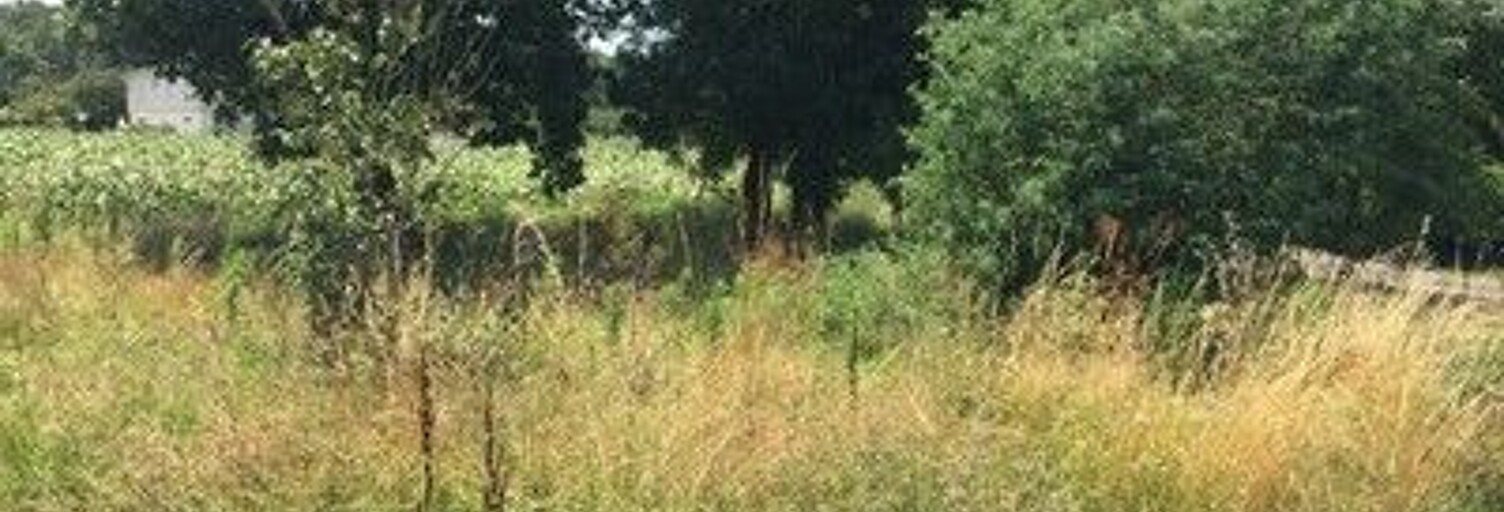 Terrain  900 m² à vendre à Les Peintures (33230)