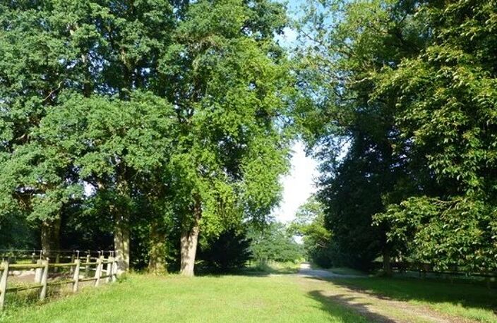 65 Ha DE NATURE, DEUX ÉTANGS, DES DÉPENDANCES… POTENTIEL RARE — photo 4