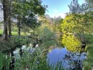 Vente Terrain agricole 54 604 m&sup2; — photo 3
