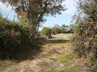 Vente Terrain agricole 21 280 m&sup2; — photo 4