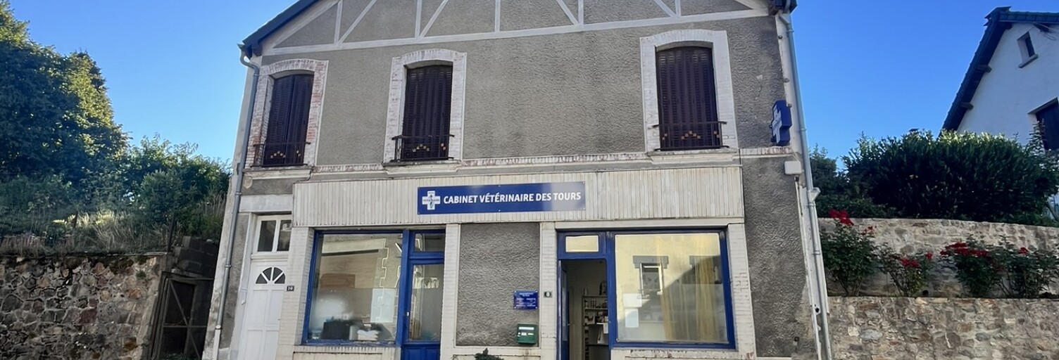 Maison 8 Pièces 168 m² à vendre à Giat (63620)