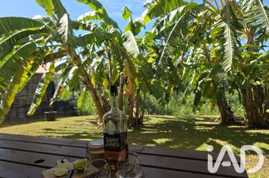 Appartement 4 pièces 239000 €