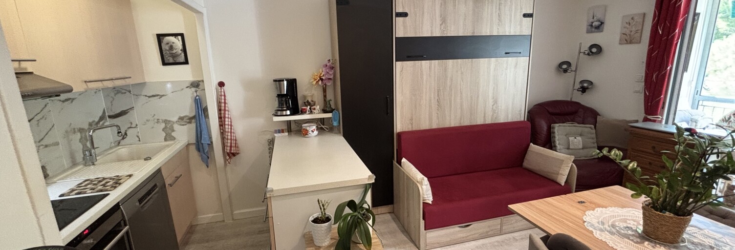 Appartement 1 Pièce 29 m² à vendre à Bandol (83150)