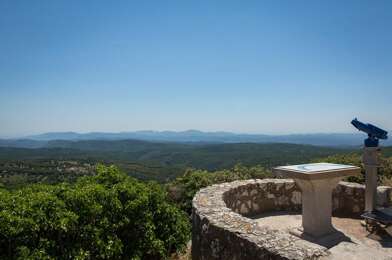 Terrain  35000 €