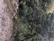 Terrain sur Mons — photo 3