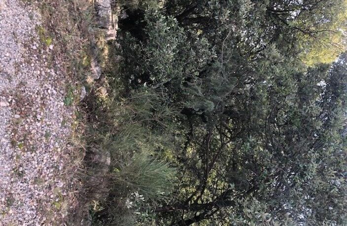 Terrain sur Mons — photo 3