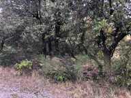 Terrain sur Mons — photo 4