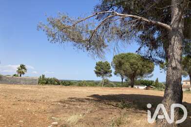 Terrain  210000 €