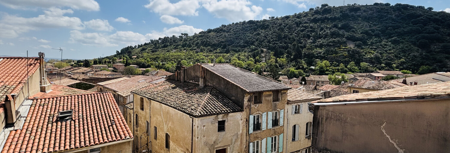 Maison 9 Pièces 225 m² à vendre à Clermont-l'Hérault (34800)