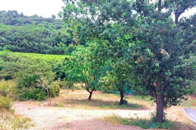 Terrain  105000 €