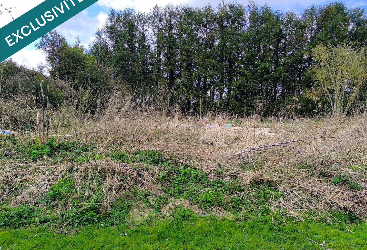 TERRAIN LOISIR — photo 1