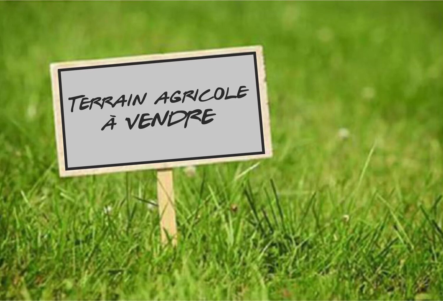 EXCLUSIVITÉ - TERRAIN AGRICOLE — photo 1
