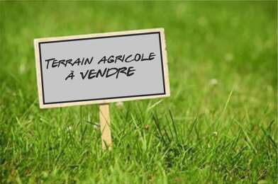 Terrain  13500 €