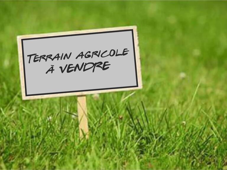 EXCLUSIVITÉ - TERRAIN AGRICOLE — photo 1