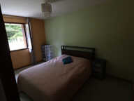 Pavillon plain pied dans un cadre calme et verdoyant — photo 4