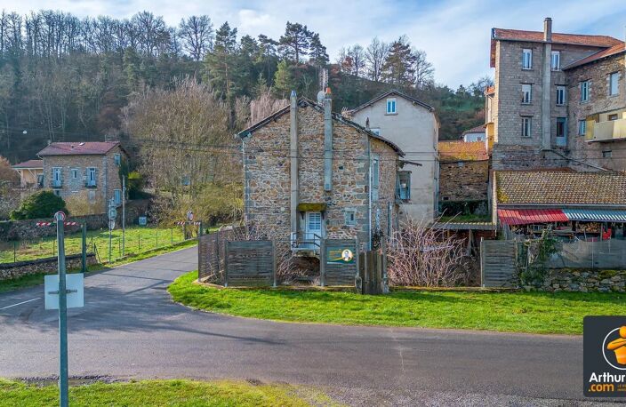 RETOURNAC – Appartement avec jardin attenant et terrain plat non attenant, en bord de Loire. — photo 4